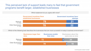 startups Kauffman survey