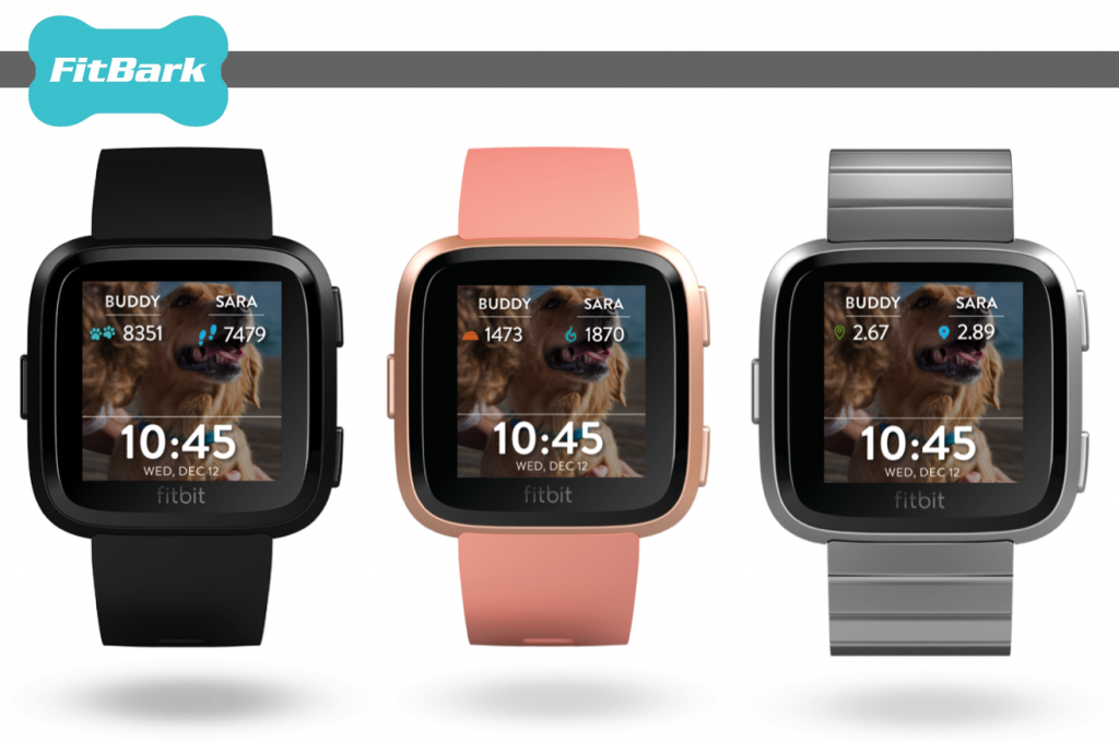 FitBark