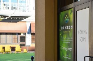 Bamboo Penny’s Leawood 02 Bamboo Penny’s Leawood