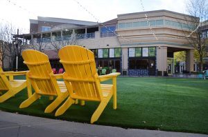 Bamboo Penny’s Leawood 03 Bamboo Penny’s Leawood