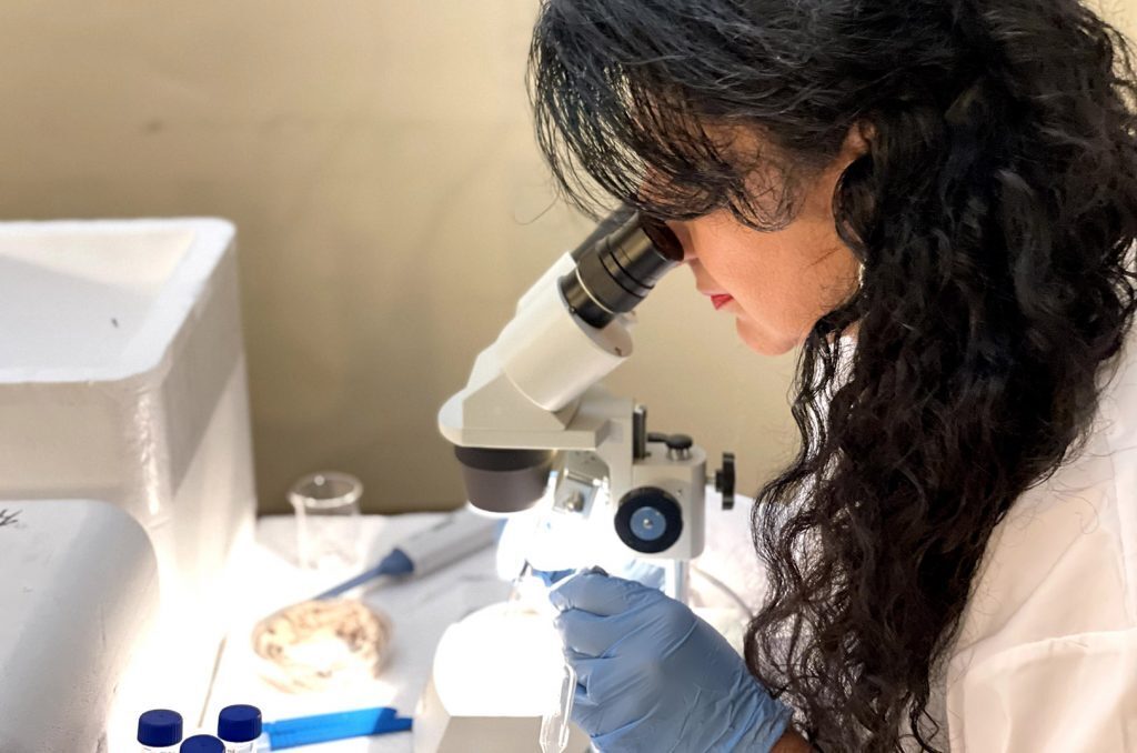 Professor Ranan Aktas, Maltepe University