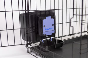 Interplay PlayTach 2022 02