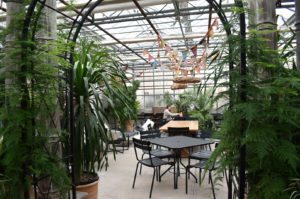 Family Tree Nursery holiday 2022 13