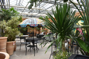 Family Tree Nursery holiday 2022 14