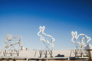 2_Rabbit Hole © Chase Castor, courtesy of Multistudio