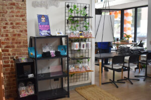 PHKC 811 Retail Incubator GO 11