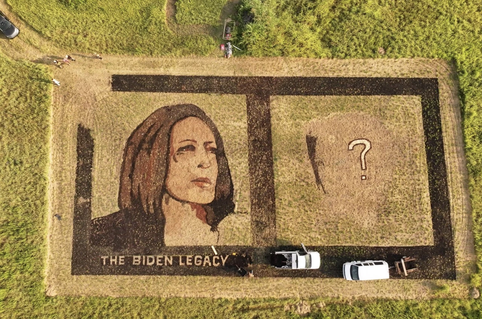 Crop artist Stan Herd created his portrait of Vice President Kamala Harris near Lawrence, Kansas after she ascended to the top of the Democratic ticket; photo courtesy of Stan Herd