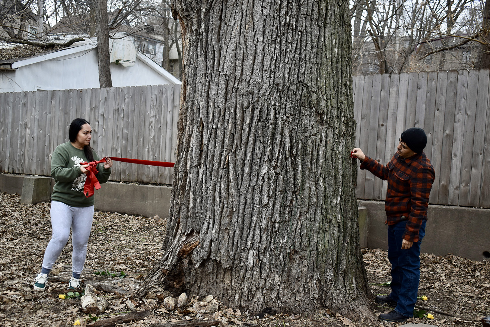 Alex Villalobos-McAnderson and Ivan Ramirez tie a ribbon on the 16-foot-around Liberty Tree in Kansas City's historic Northeast; photo by Nikki Overfelt Chifalu, Startland News