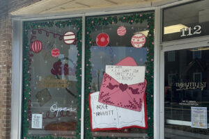 The Littlest Library 03