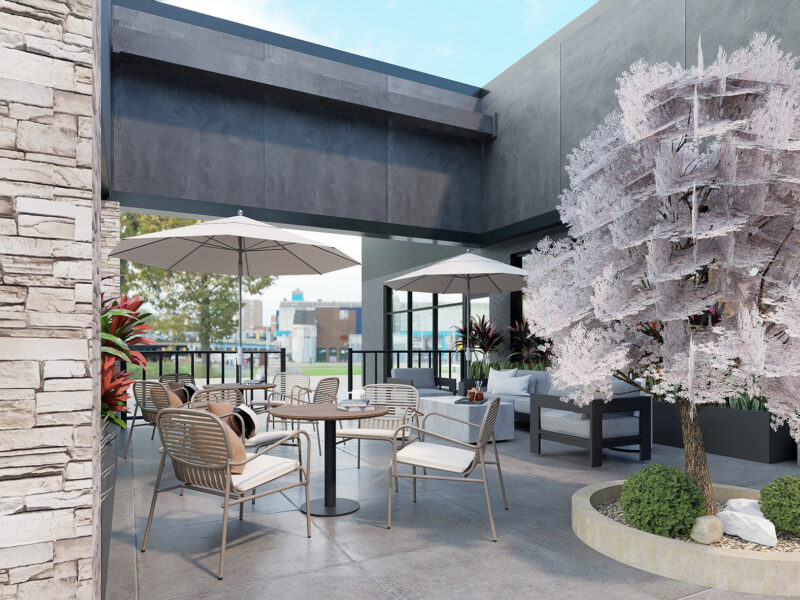 Thai Orchid rendering 07