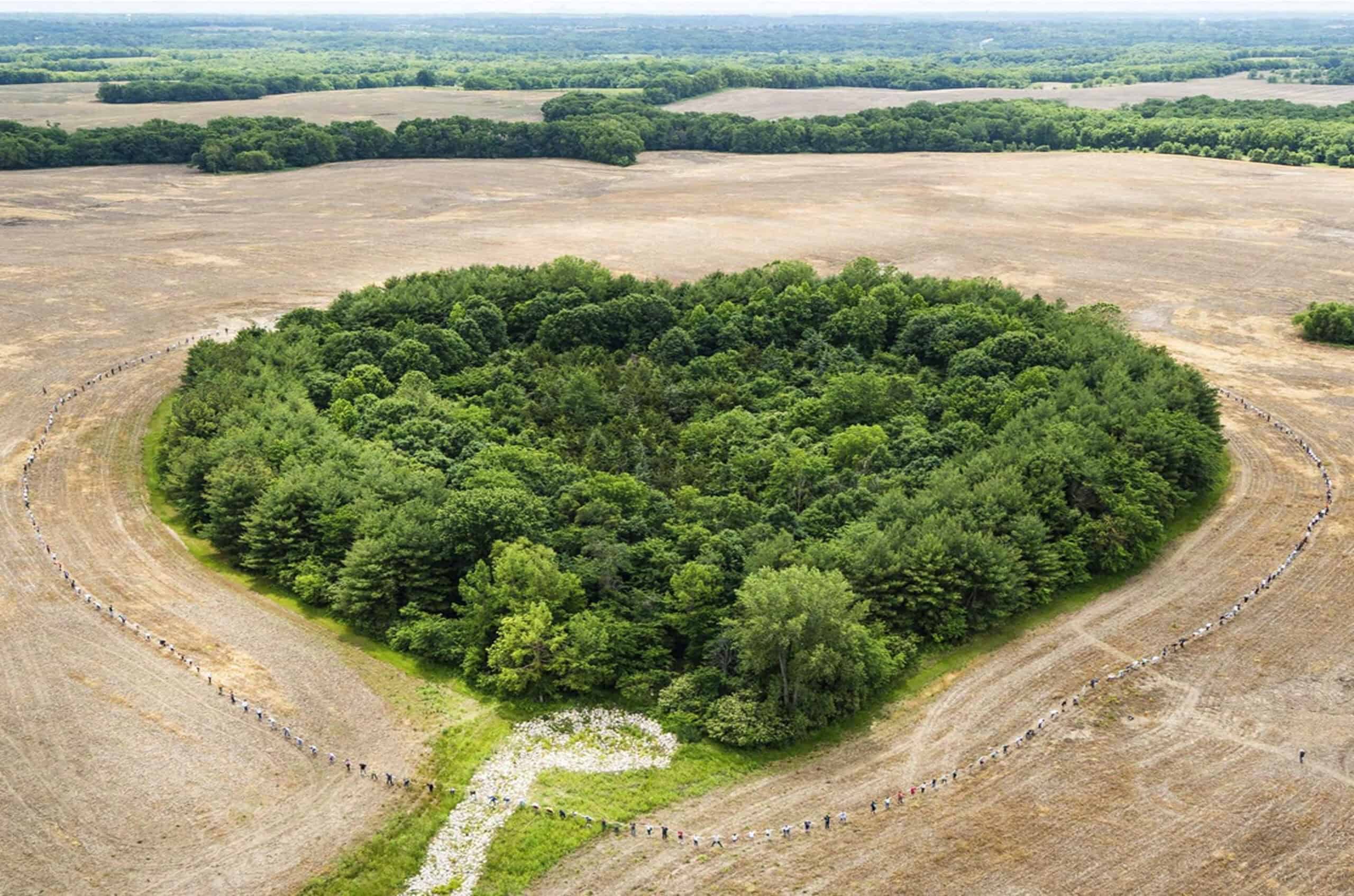 An aerial view of the Heart Forest; photo by Jodi Vander Woude and Michelle Miller
